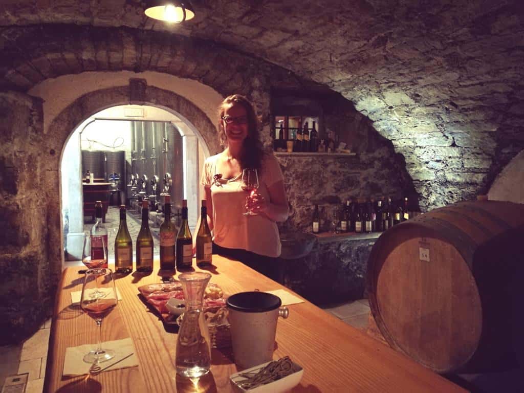 Weinregionen Slowenien Das Unentdeckte Weinparadies