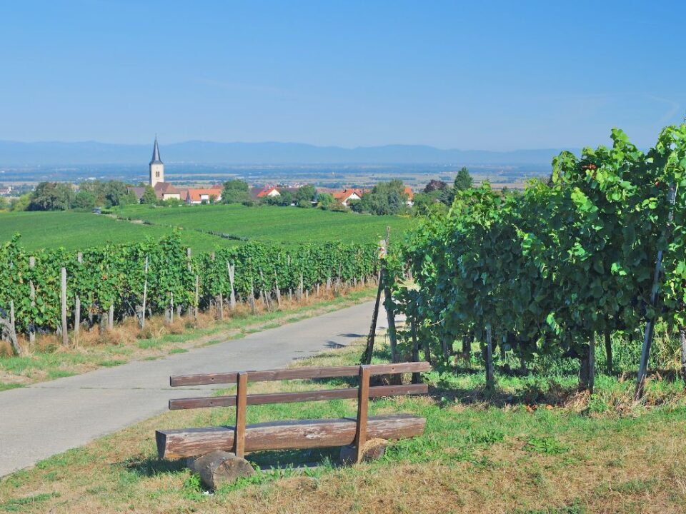urlaub badische weinstraße. blick auf ein malerisches weindorf in baden