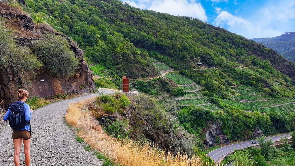 weinbaugebiet altenahr rotweinwanderweg